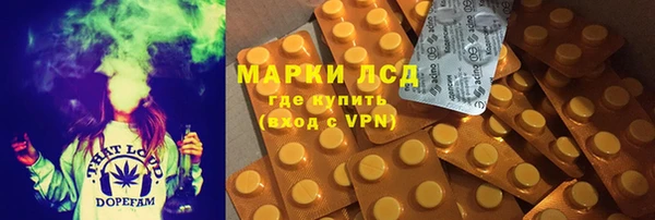 трава Аркадак