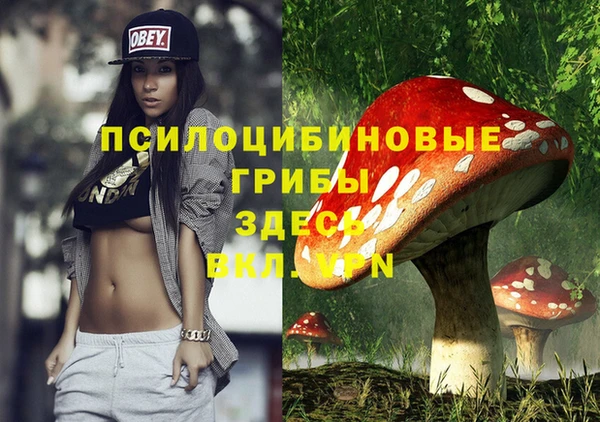трава Аркадак